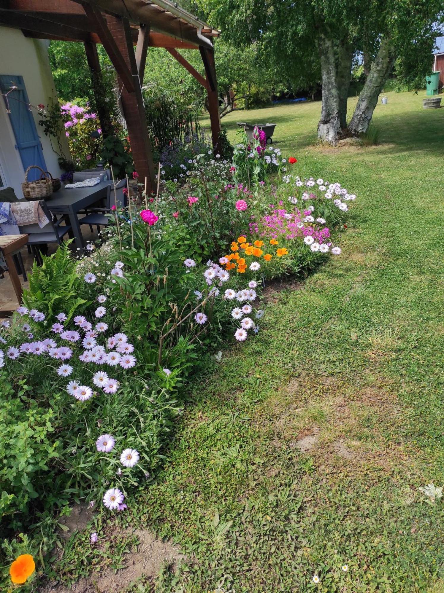 Grand Studio Duplex Avec Jardin 滨海拉特里尼泰 外观 照片